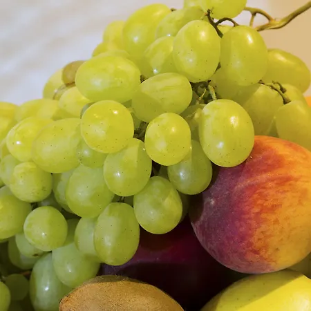 아파트호텔 Lion D'or 4*